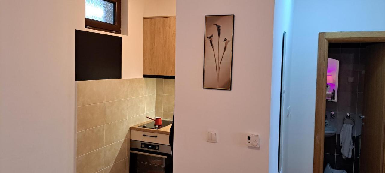 Vnv Apartment Zlatibor